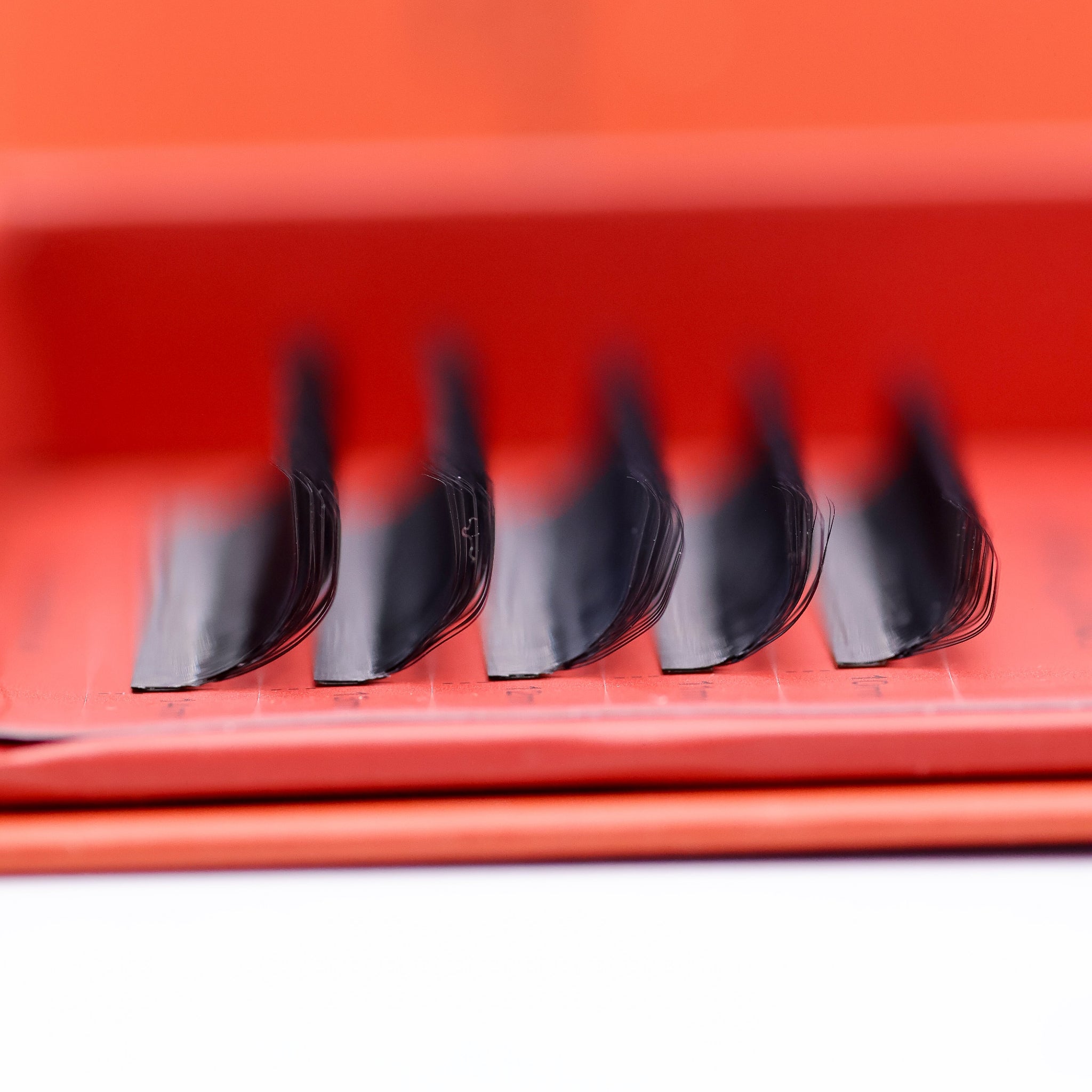 Ladybug Lashes Sample Tray 8D Clover open showing five rows of black CC curl fans in mixed lengths 10–14mm in red branded box from low angled side view