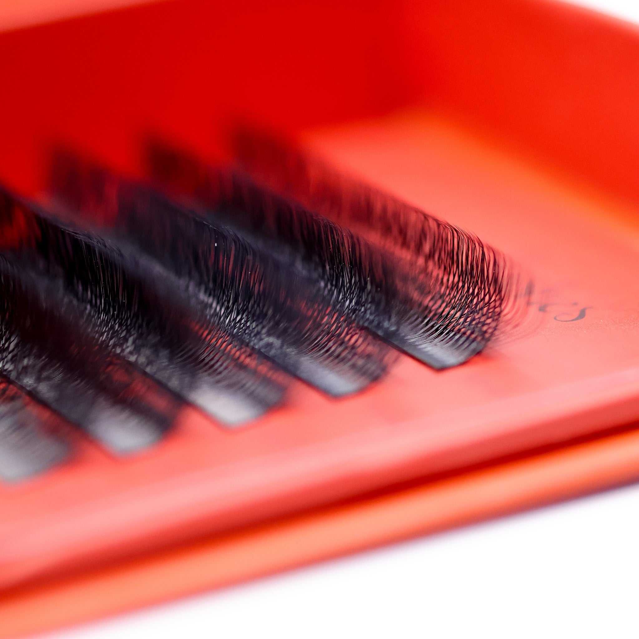 Close-up of Ladybug Lashes Sample Tray 8D Clover showing five CC curl 0.05 rows with black fan tips and curl definition from low front angle