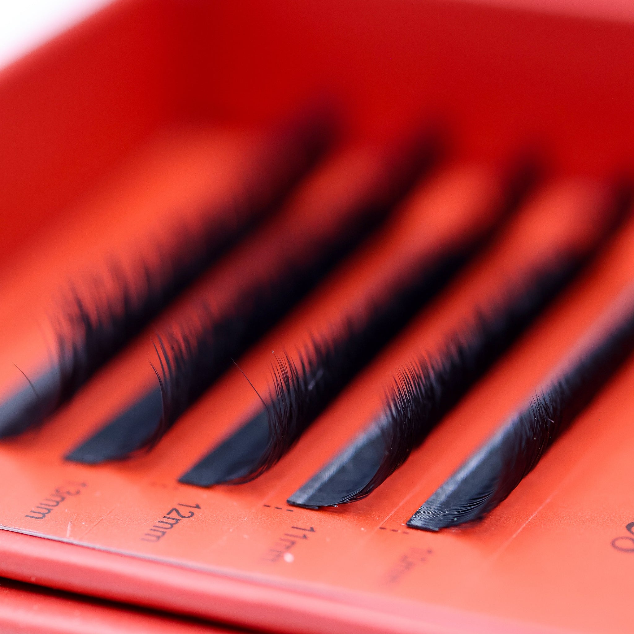 5DU U-Shaped 5D Clover Lash Tray – five-fibre clover lashes, fuller definition with soft lightweight finish, refined volume