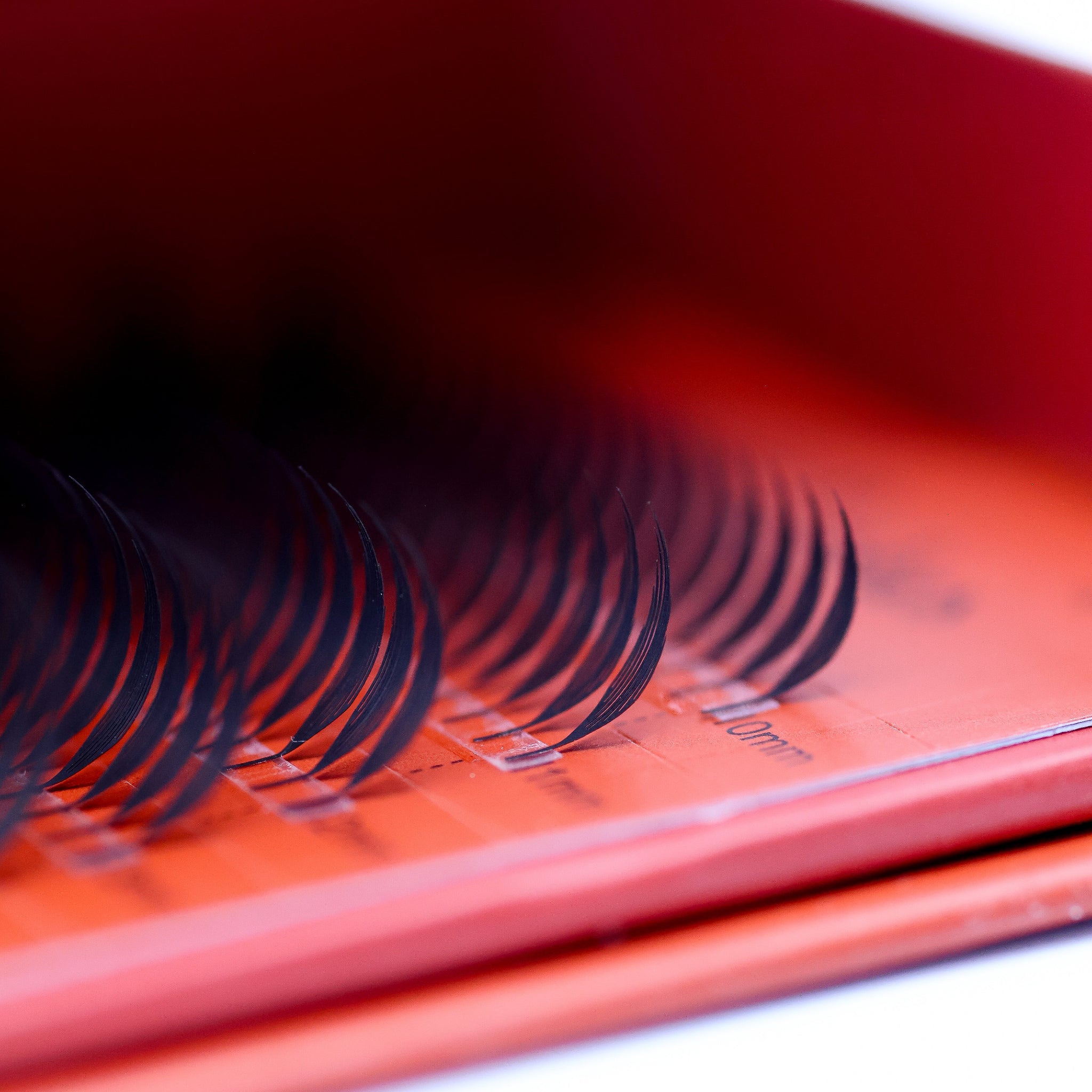 Anime Feather Lash Tray close-up – defined spike texture, wispy volume, professional lash extension tray