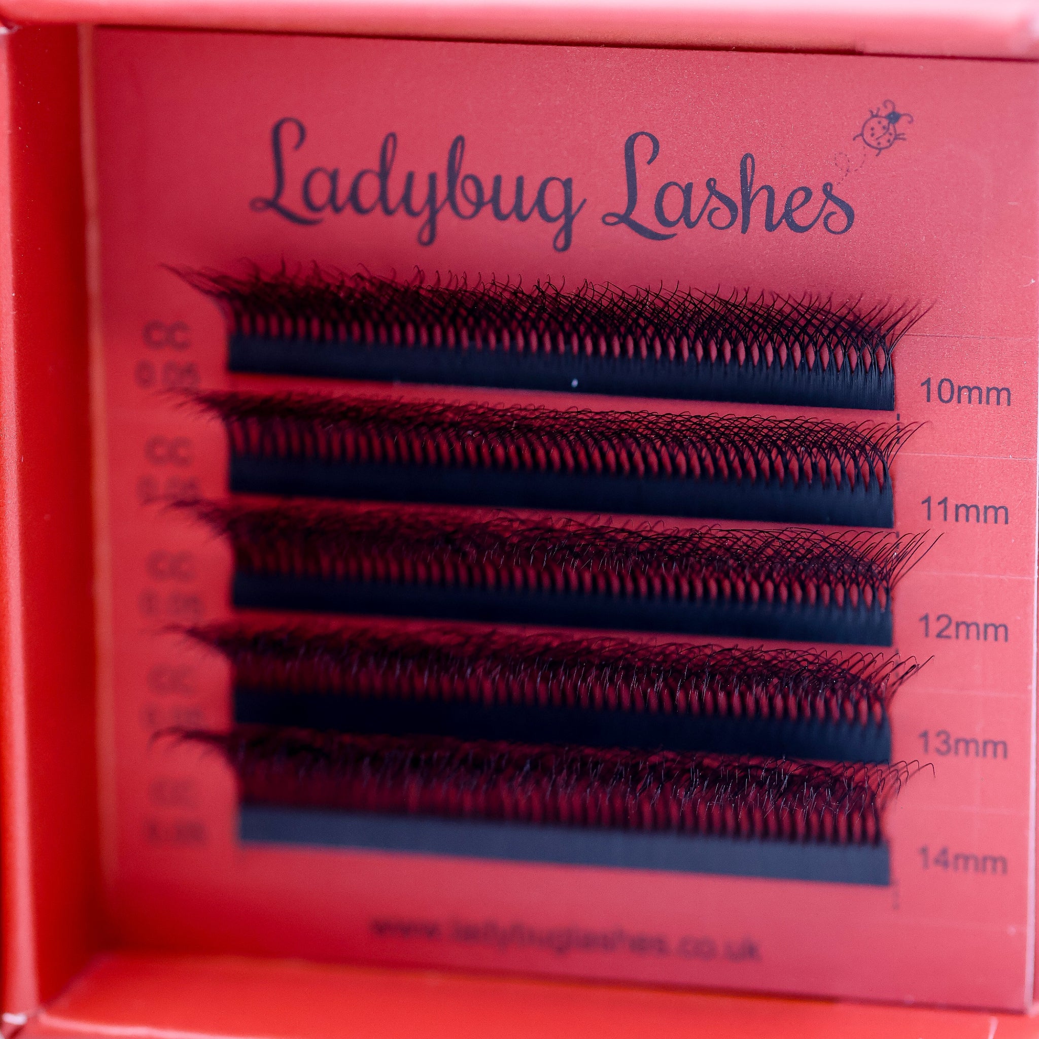10D Clover Lash Tray – ten ultra-fine fibres, flat base design, lightweight fluffy volume, professional lash extensions