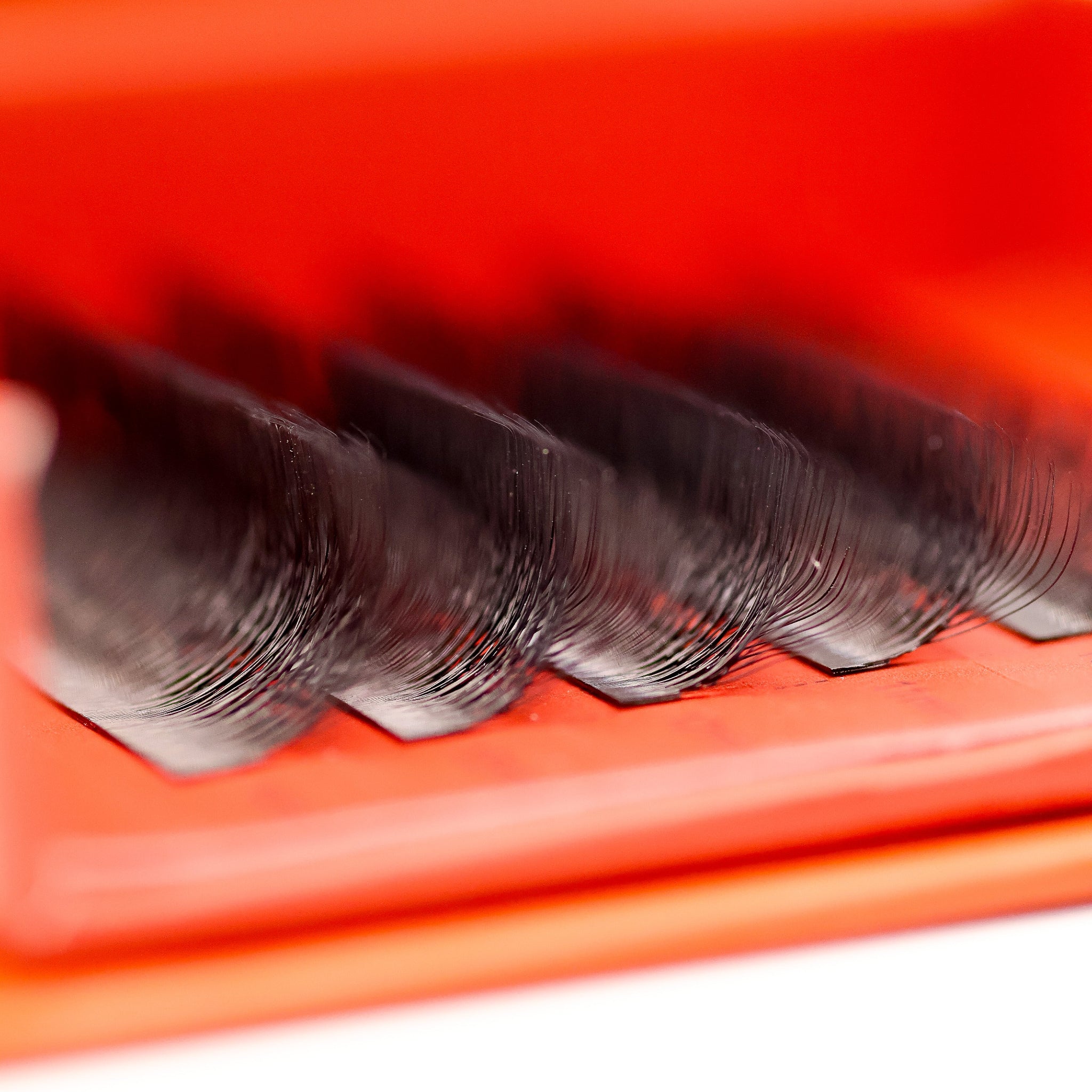 10D Clover Lash Sample Tray Close-Up – dense airy texture, wispy volume, secure flat base bonding, salon quality