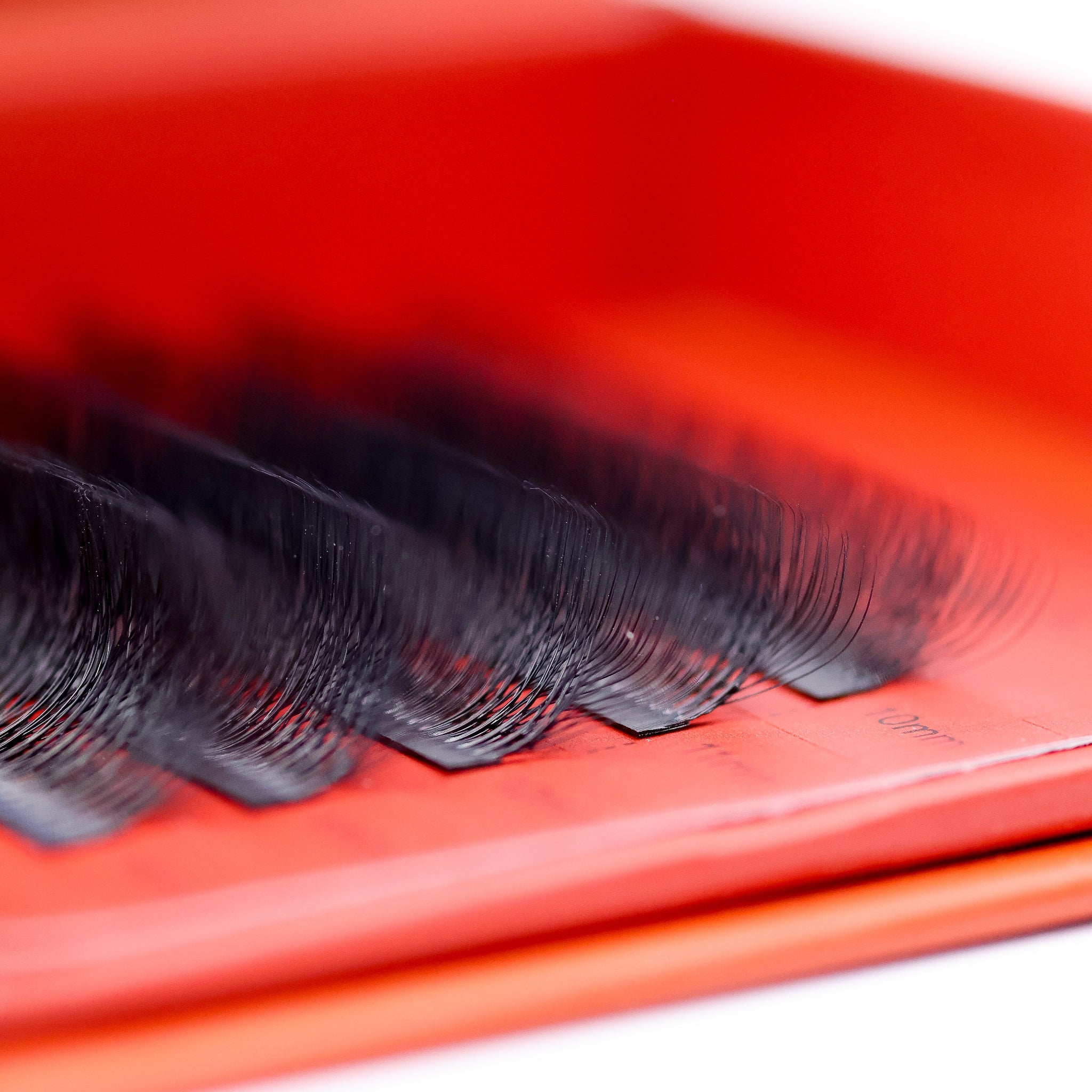 Sample 10D Clover Lash Tray – pre-made fans, fast volume application, matte PBT fibres, 10–14mm, C/CC/D curls