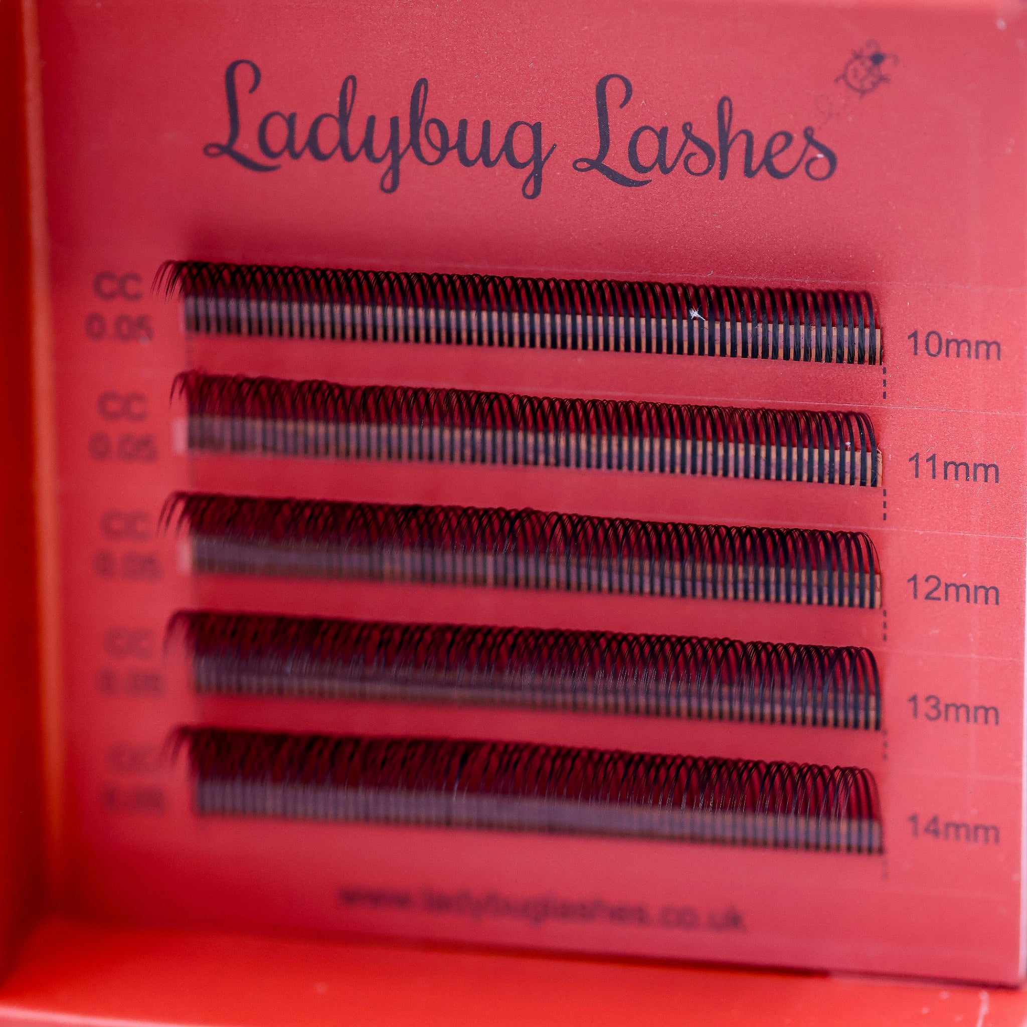 Extreme close-up of Ladybug Lashes classic lash strips in red branded tray showing curl shape and lash density detail