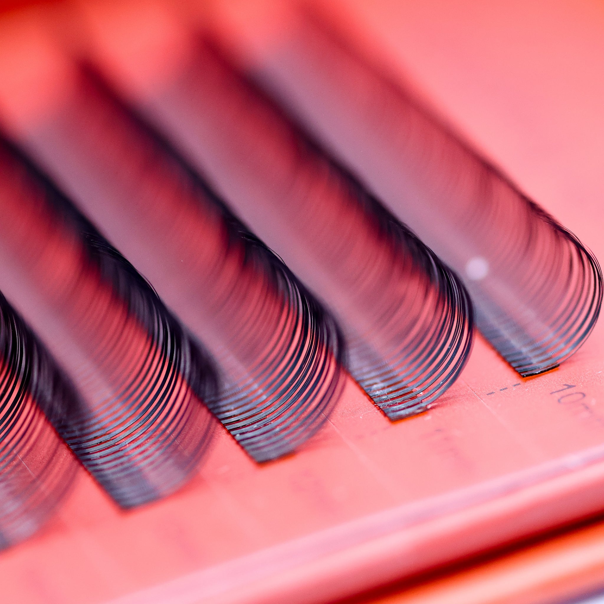 Ladybug Lashes classic lash tray showing CC curl rows in 10mm to 14mm sizes with Ladybug Lashes branding visible on red background