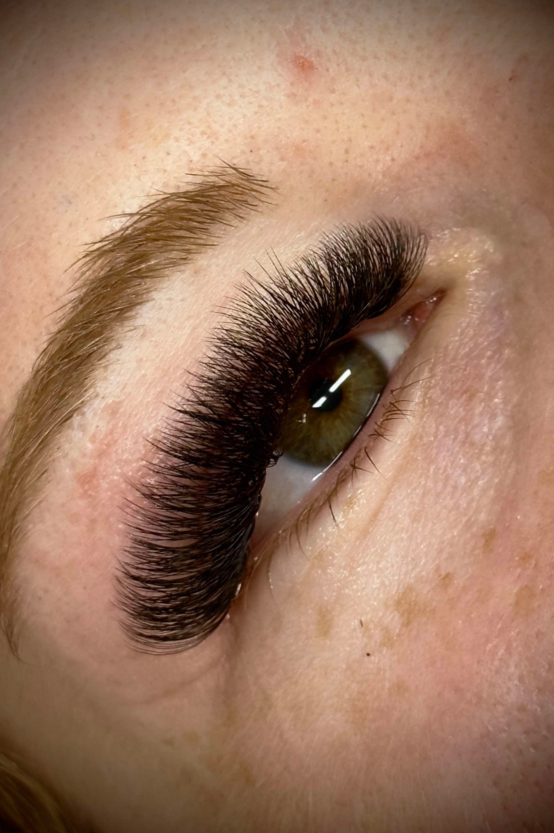 ladybuglashes lashglue lashtrays lashadhesive glueretention cloverlashes wlashes yylashes premades promades lashes