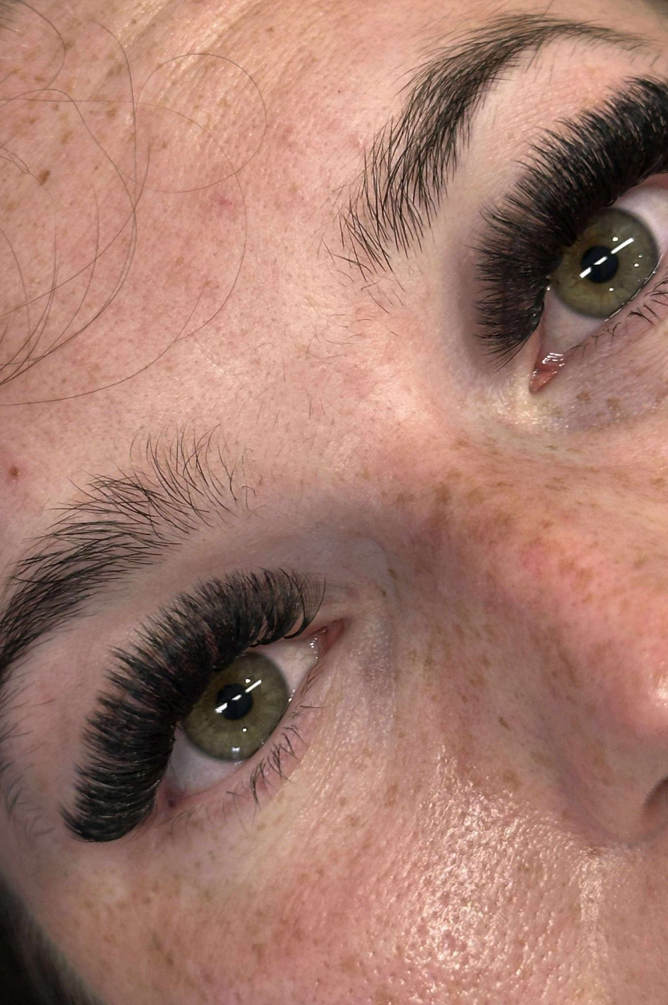 ladybuglashes lashglue lashtrays lashadhesive glueretention cloverlashes wlashes yylashes premades promades lashes