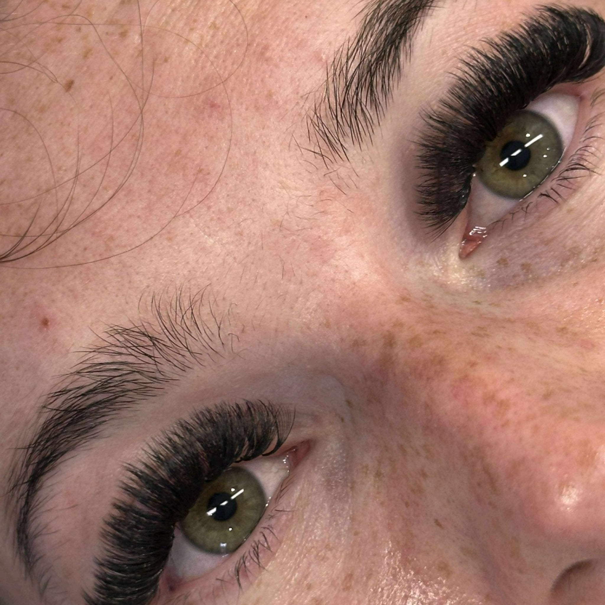 ladybuglashes lashglue lashtrays lashadhesive glueretention cloverlashes wlashes yylashes premades promades lashes