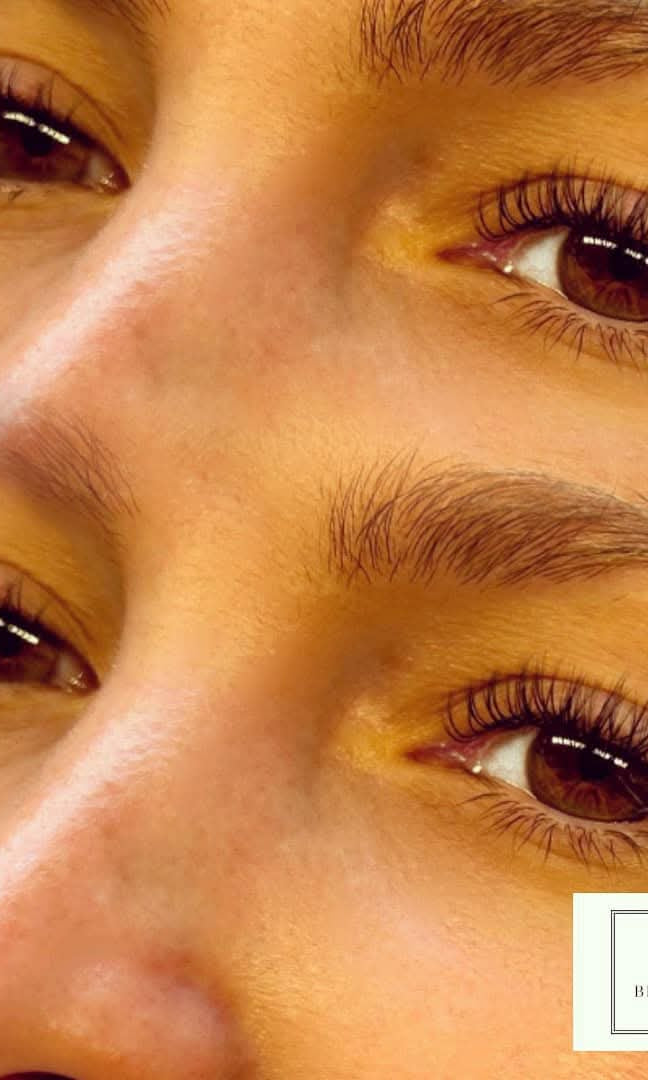 ladybuglashes lashglue lashtrays lashadhesive glueretention cloverlashes wlashes yylashes premades promades lashes