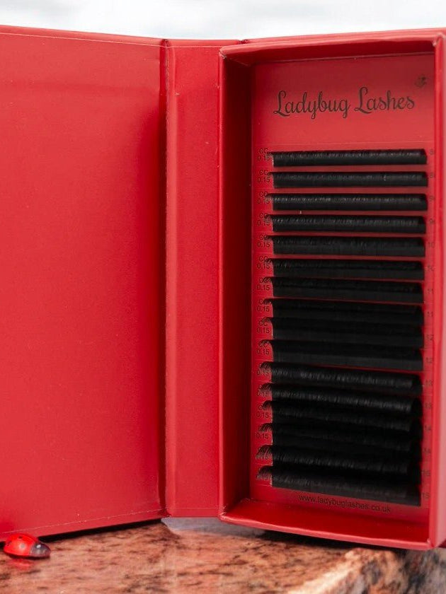 ladybuglashes lashglue lashtrays lashadhesive glueretention cloverlashes wlashes yylashes premades promades lashes