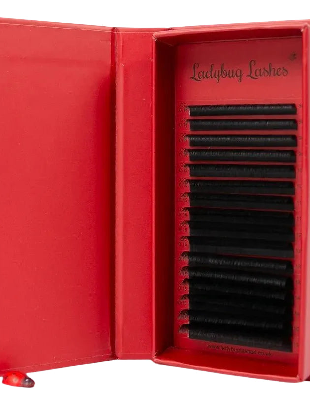 ladybuglashes lashglue lashtrays lashadhesive glueretention cloverlashes wlashes yylashes premades promades lashes