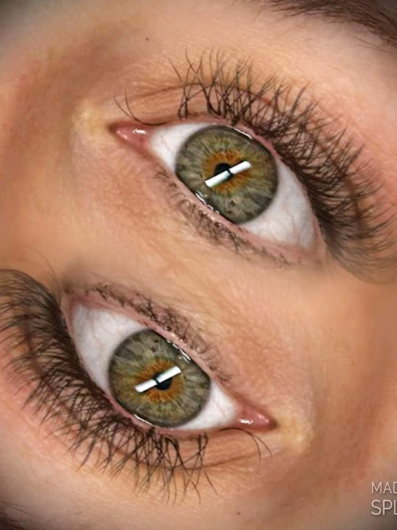 ladybuglashes lashglue lashtrays lashadhesive glueretention cloverlashes wlashes yylashes premades promades lashes