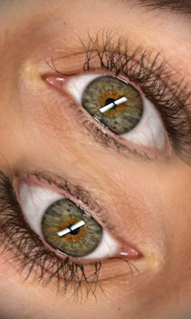 ladybuglashes lashglue lashtrays lashadhesive glueretention cloverlashes wlashes yylashes premades promades lashes