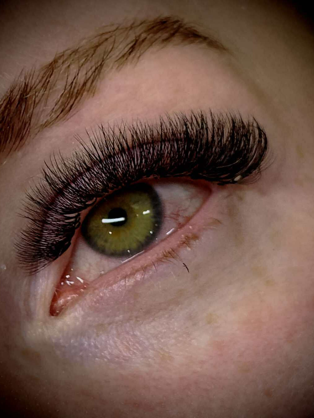 ladybuglashes lashglue lashtrays lashadhesive glueretention cloverlashes wlashes yylashes premades promades lashes