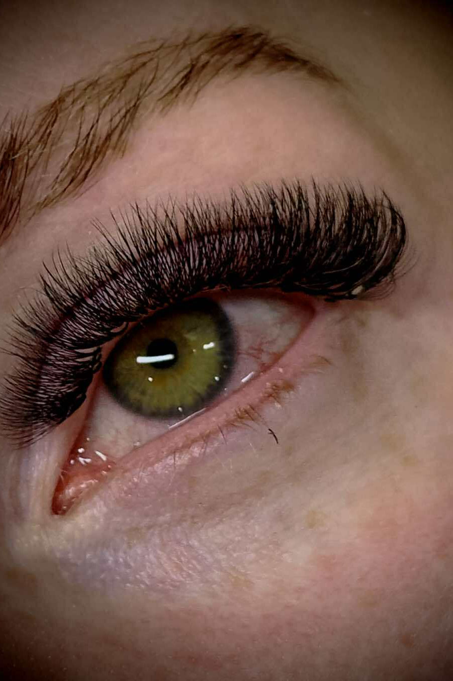 ladybuglashes lashglue lashtrays lashadhesive glueretention cloverlashes wlashes yylashes premades promades lashes