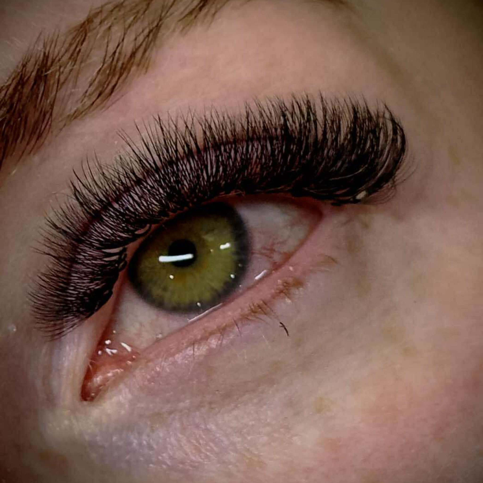 ladybuglashes lashglue lashtrays lashadhesive glueretention cloverlashes wlashes yylashes premades promades lashes