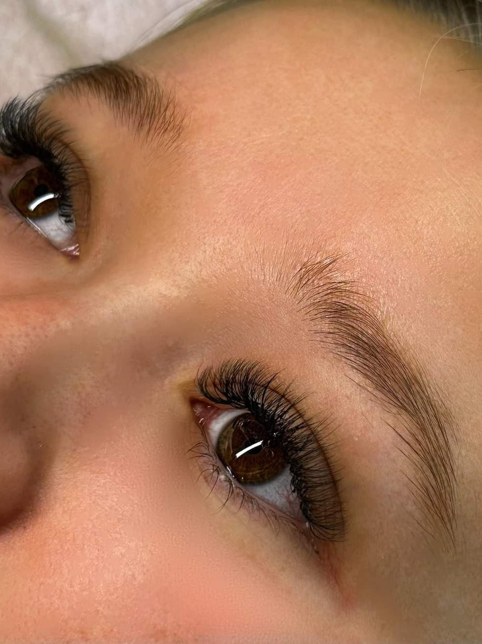 ladybuglashes lashglue lashtrays lashadhesive glueretention cloverlashes wlashes yylashes premades promades lashes