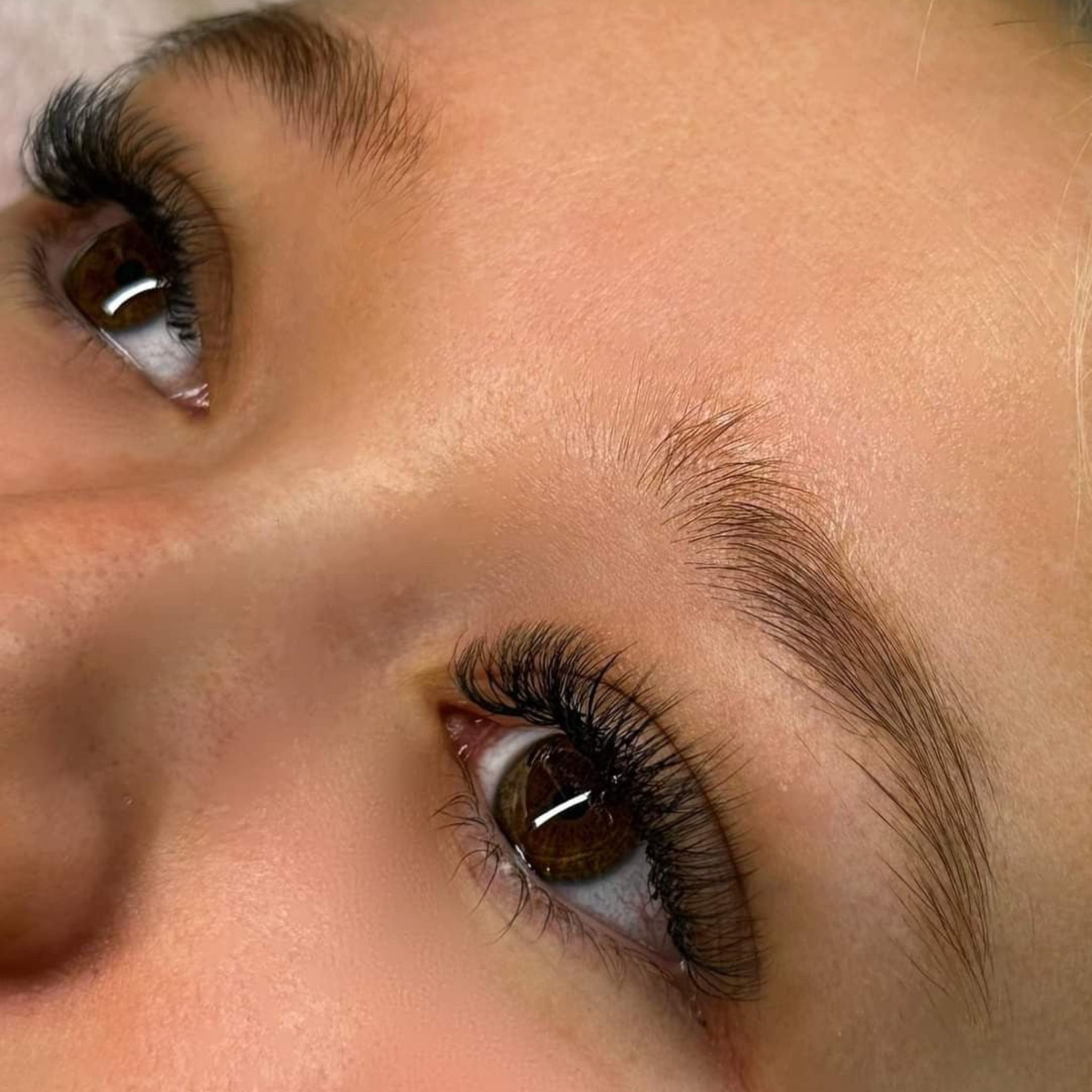Extreme close-up of Ladybug Lashes 6D Clover set showing dense black volume and dramatic curl definition from low side angle