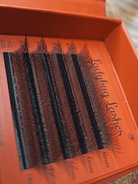 ladybuglashes lashglue lashtrays lashadhesive glueretention cloverlashes wlashes yylashes premades promades lashes