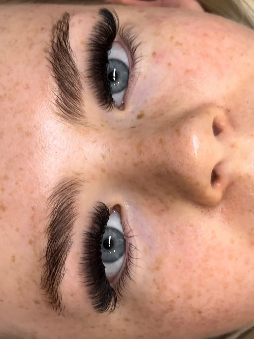 ladybuglashes lashglue lashtrays lashadhesive glueretention cloverlashes wlashes yylashes premades promades lashes