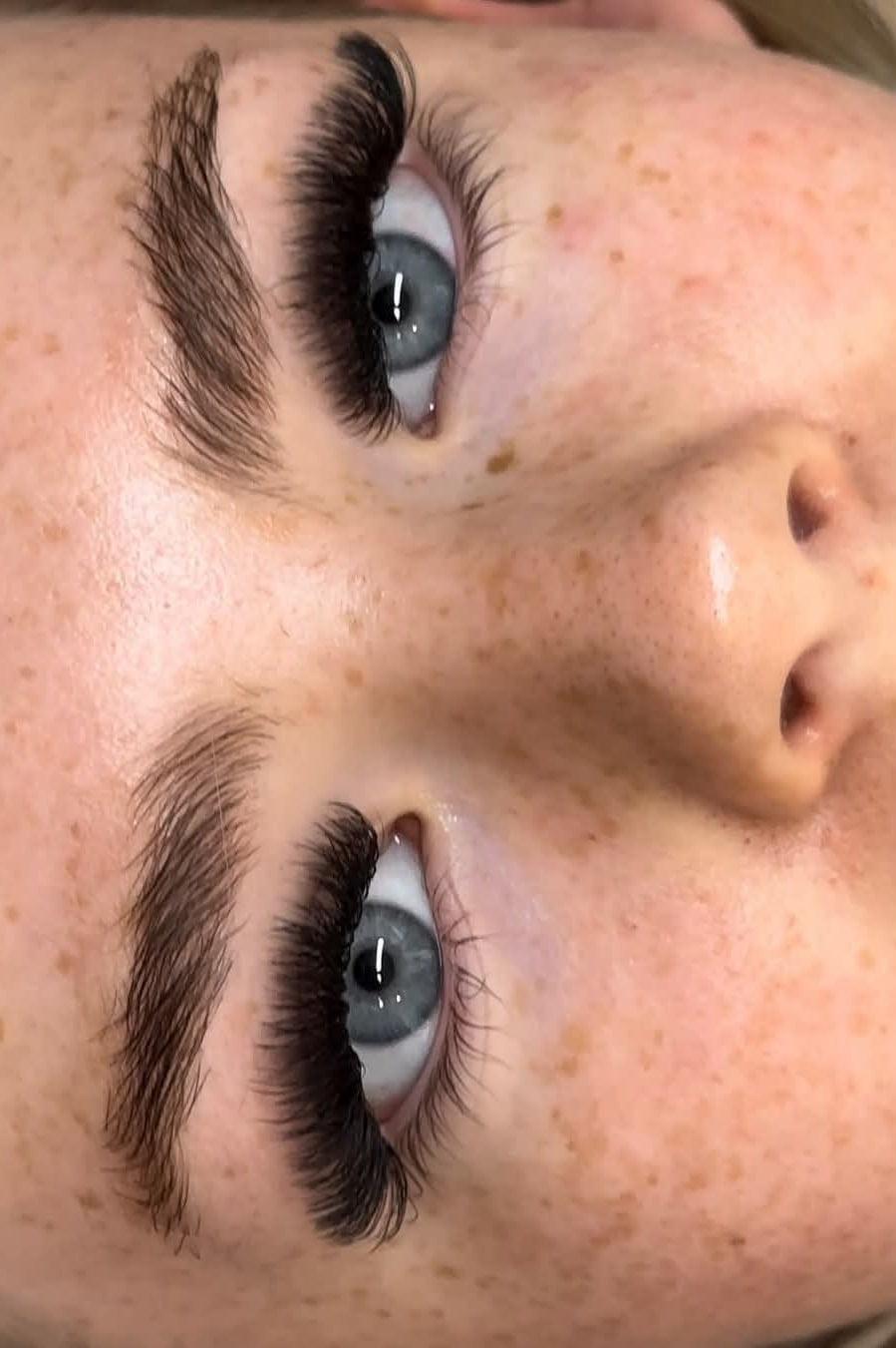 ladybuglashes lashglue lashtrays lashadhesive glueretention cloverlashes wlashes yylashes premades promades lashes