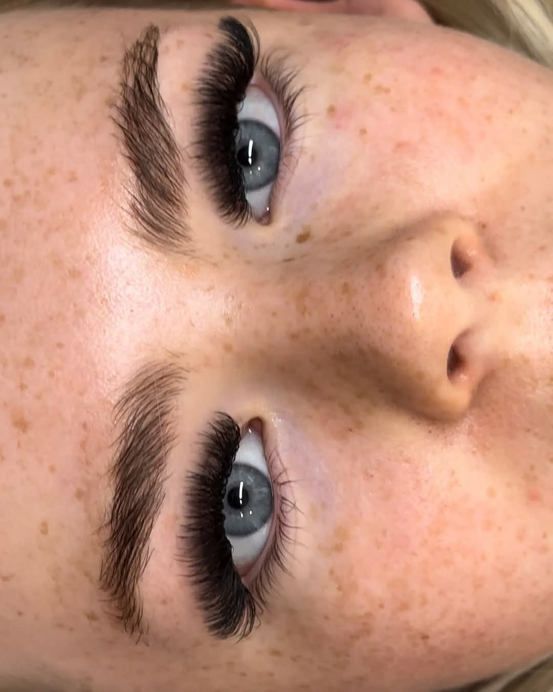 ladybuglashes lashglue lashtrays lashadhesive glueretention cloverlashes wlashes yylashes premades promades lashes