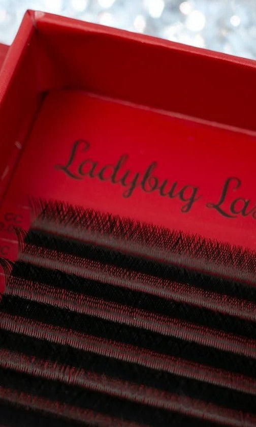 ladybuglashes lashglue lashtrays lashadhesive glueretention cloverlashes wlashes yylashes premades promades lashes