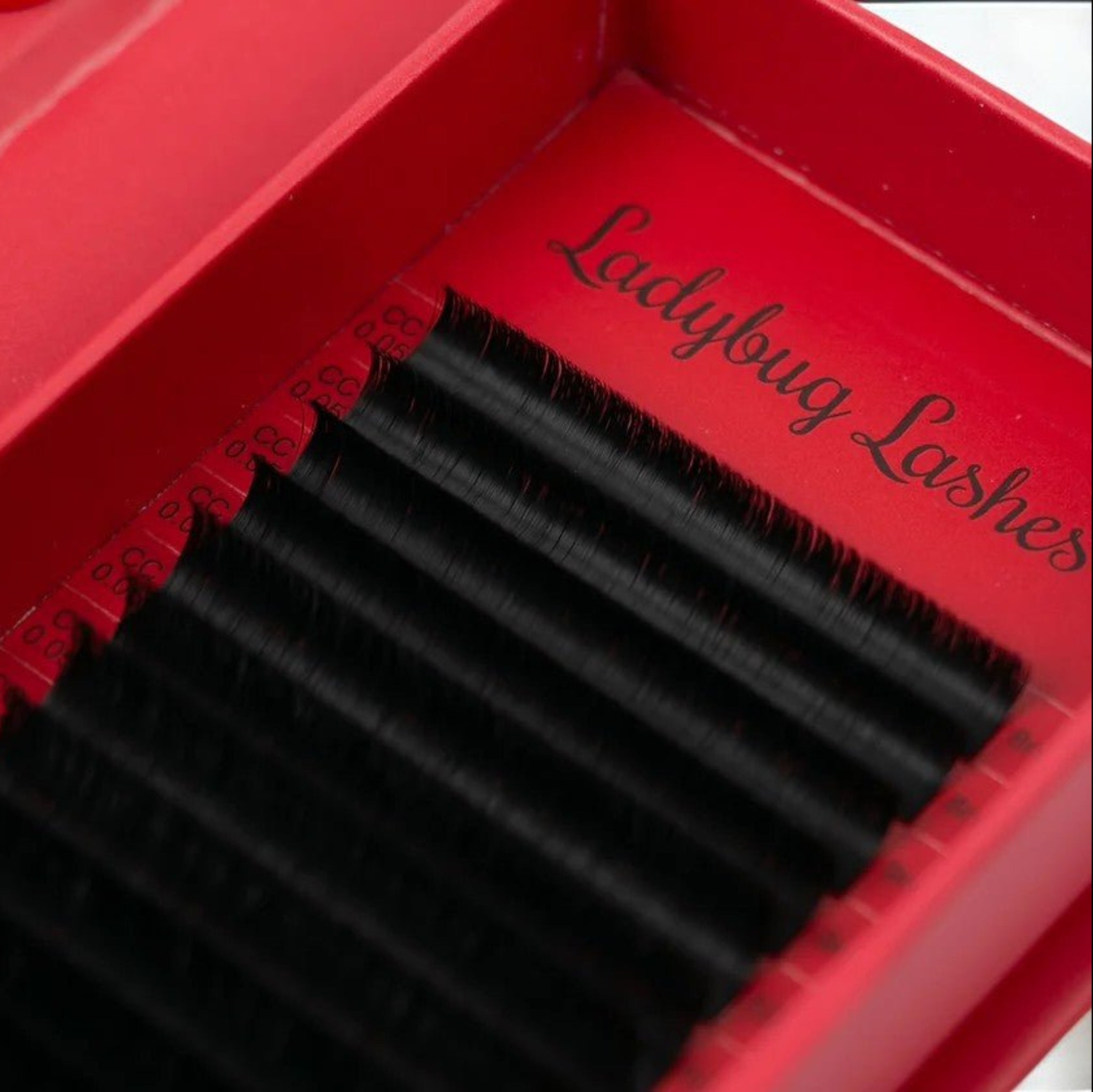 ladybuglashes lashglue lashtrays lashadhesive glueretention cloverlashes wlashes yylashes premades promades lashes