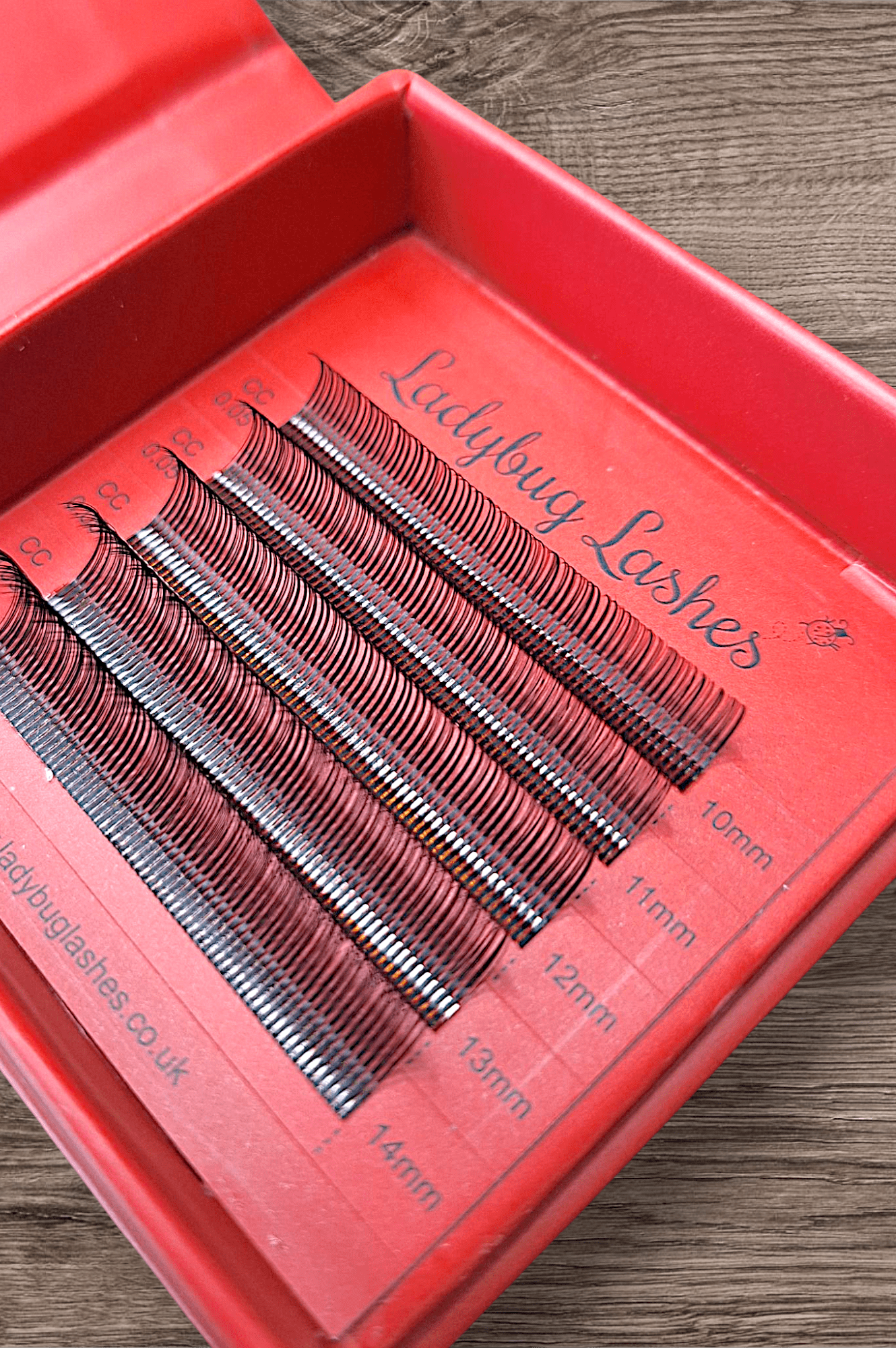 ladybuglashes lashglue lashtrays lashadhesive glueretention cloverlashes wlashes yylashes premades promades lashes