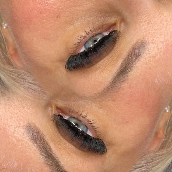 ladybuglashes lashglue lashtrays lashadhesive glueretention cloverlashes wlashes yylashes premades promades lashes