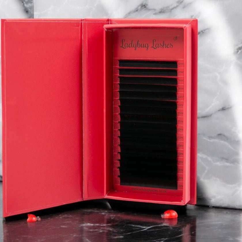 ladybuglashes lashglue lashtrays lashadhesive glueretention cloverlashes wlashes yylashes premades promades lashes