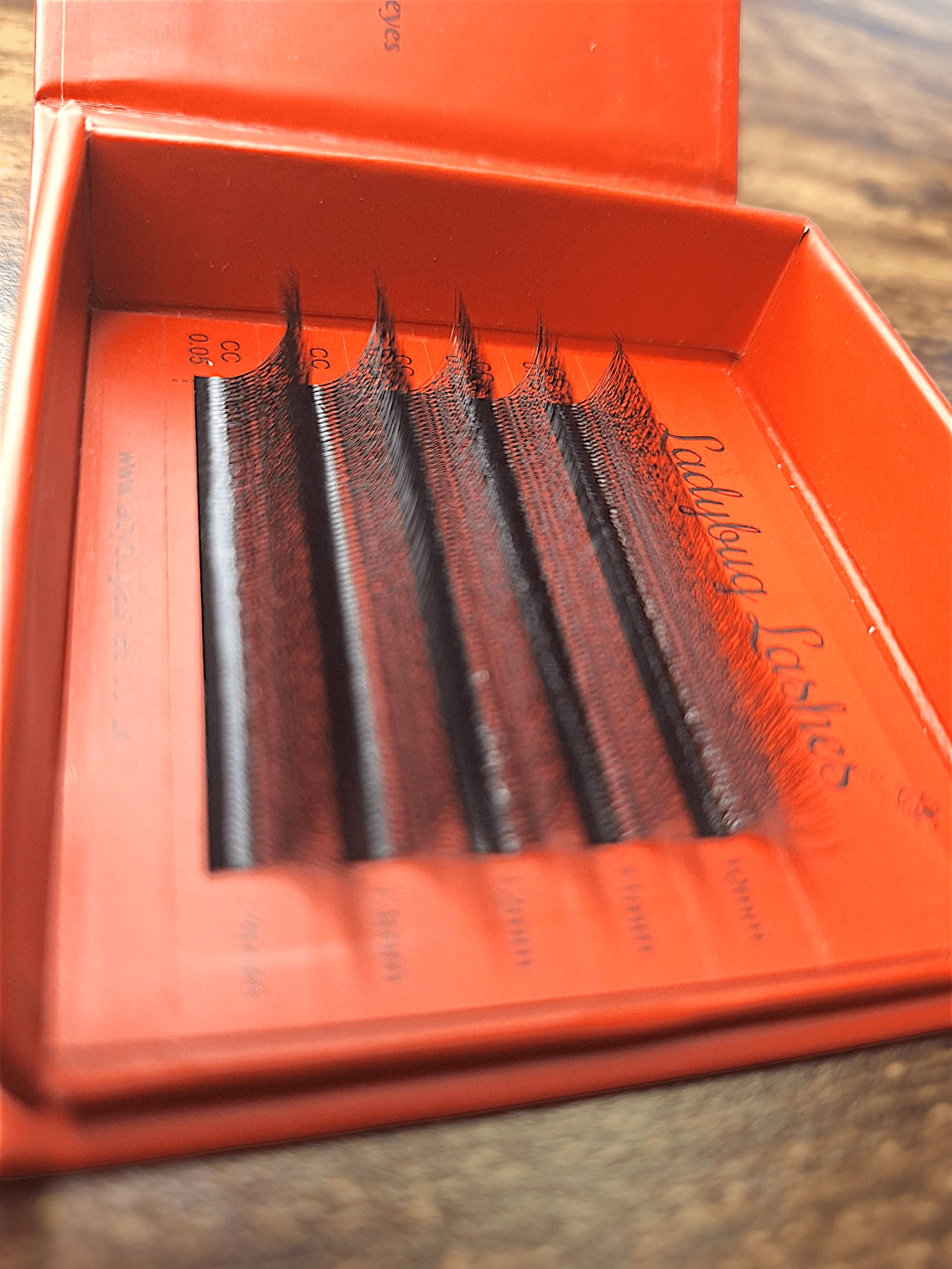 ladybuglashes lashglue lashtrays lashadhesive glueretention cloverlashes wlashes yylashes premades promades lashes