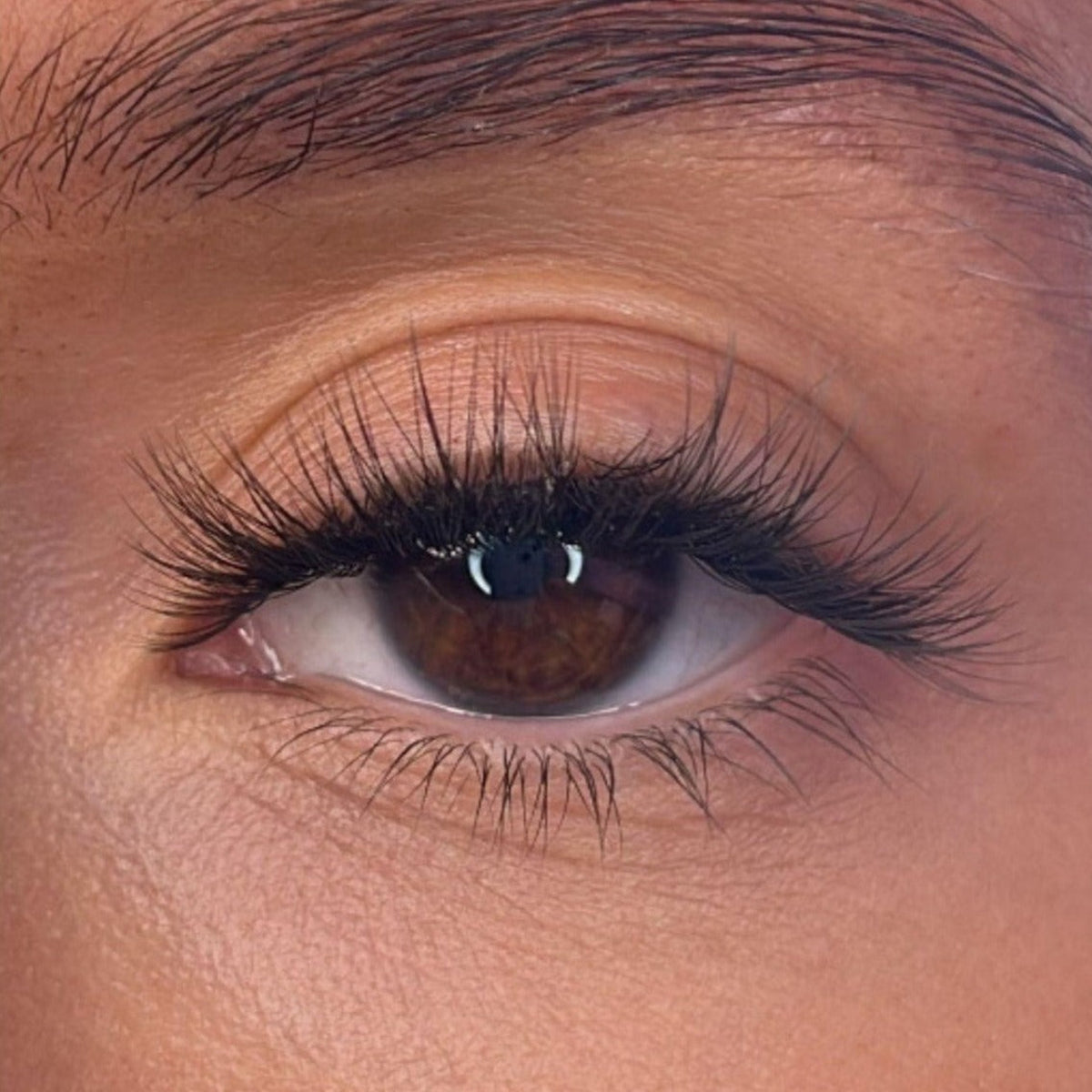 Lash Ribbons Vevina Pre-Styled DIY Lash Clusters – product image 2