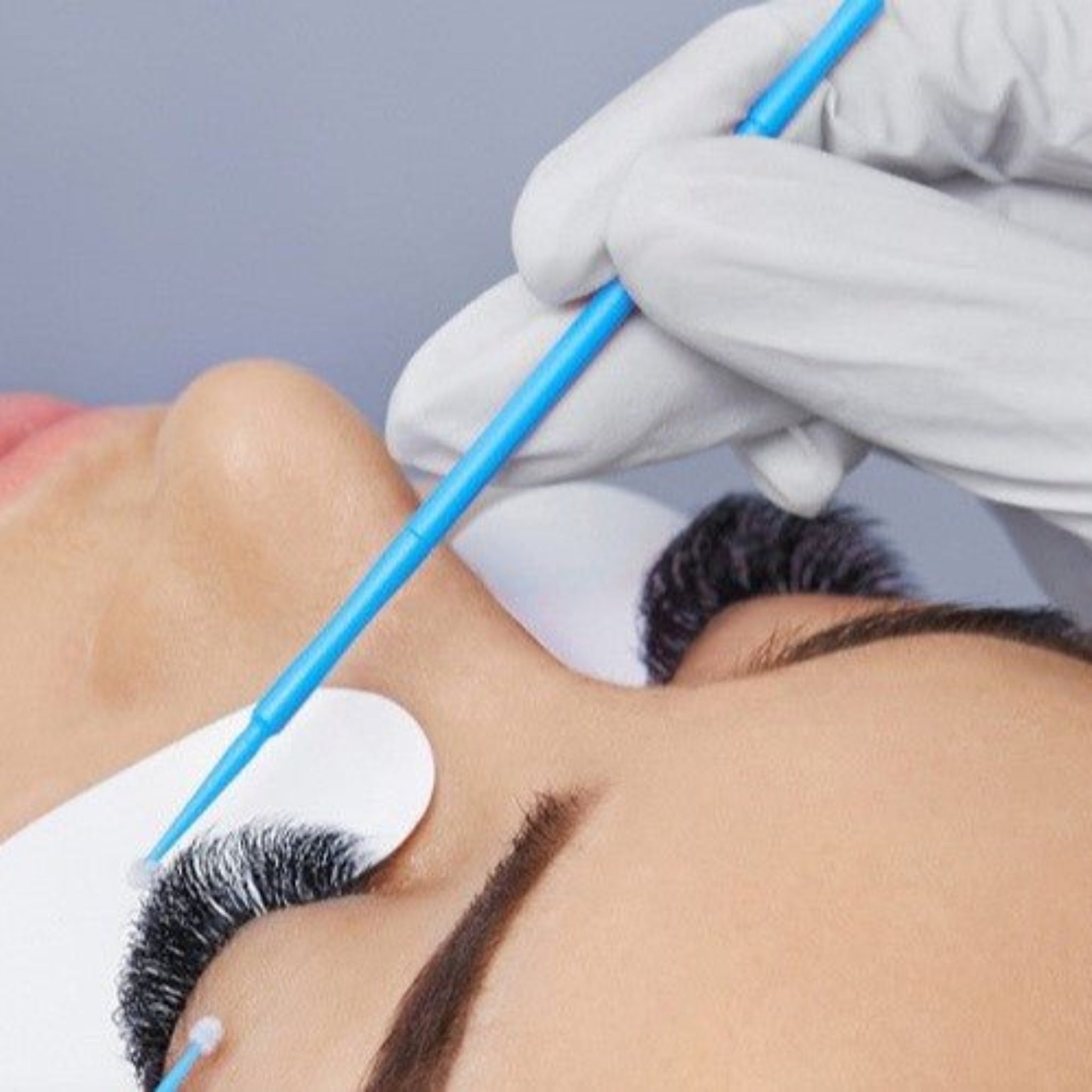 ladybuglashes lashglue lashtrays lashadhesive glueretention cloverlashes wlashes yylashes premades promades lashes