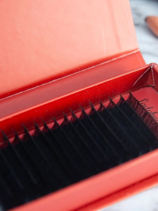 ladybuglashes lashglue lashtrays lashadhesive glueretention cloverlashes wlashes yylashes premades promades lashes