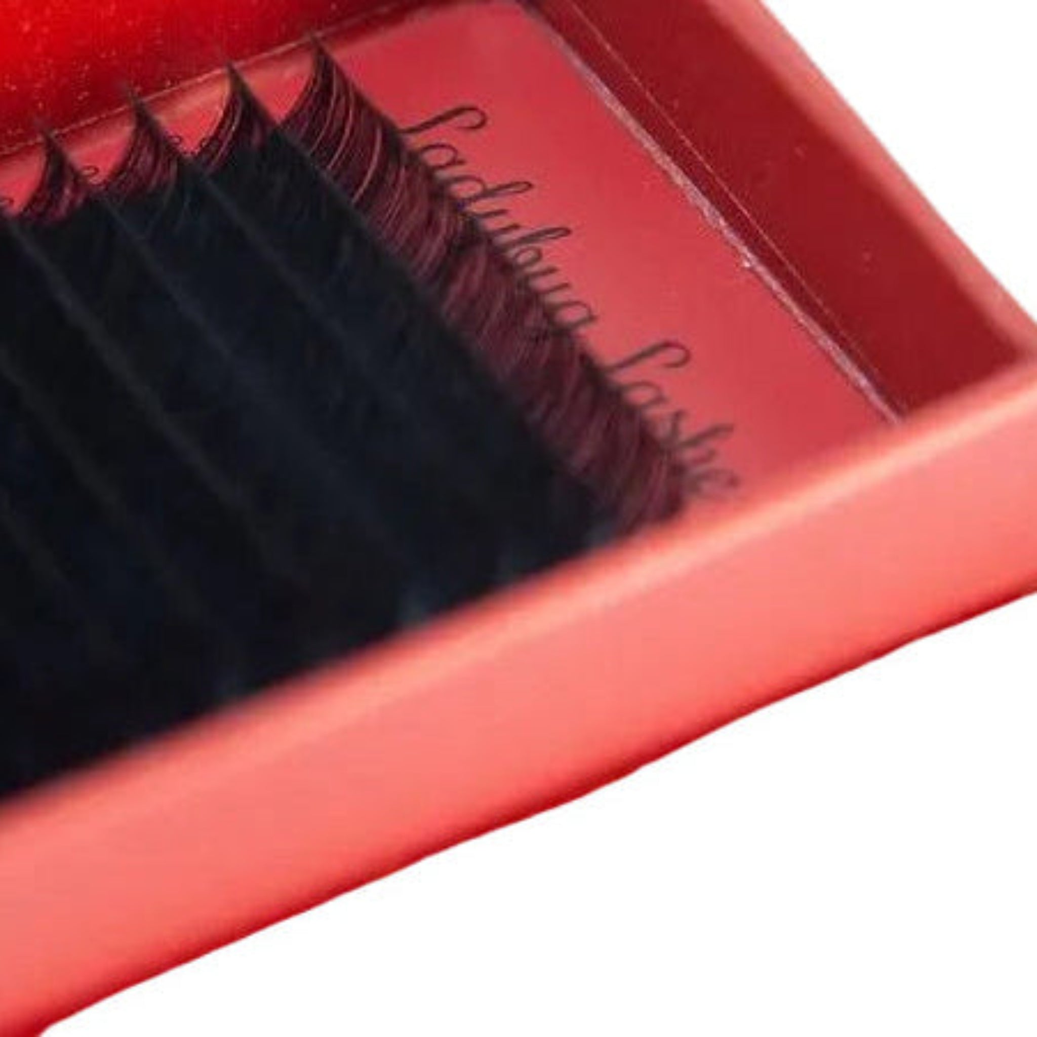 ladybuglashes lashglue lashtrays lashadhesive glueretention cloverlashes wlashes yylashes premades promades lashes