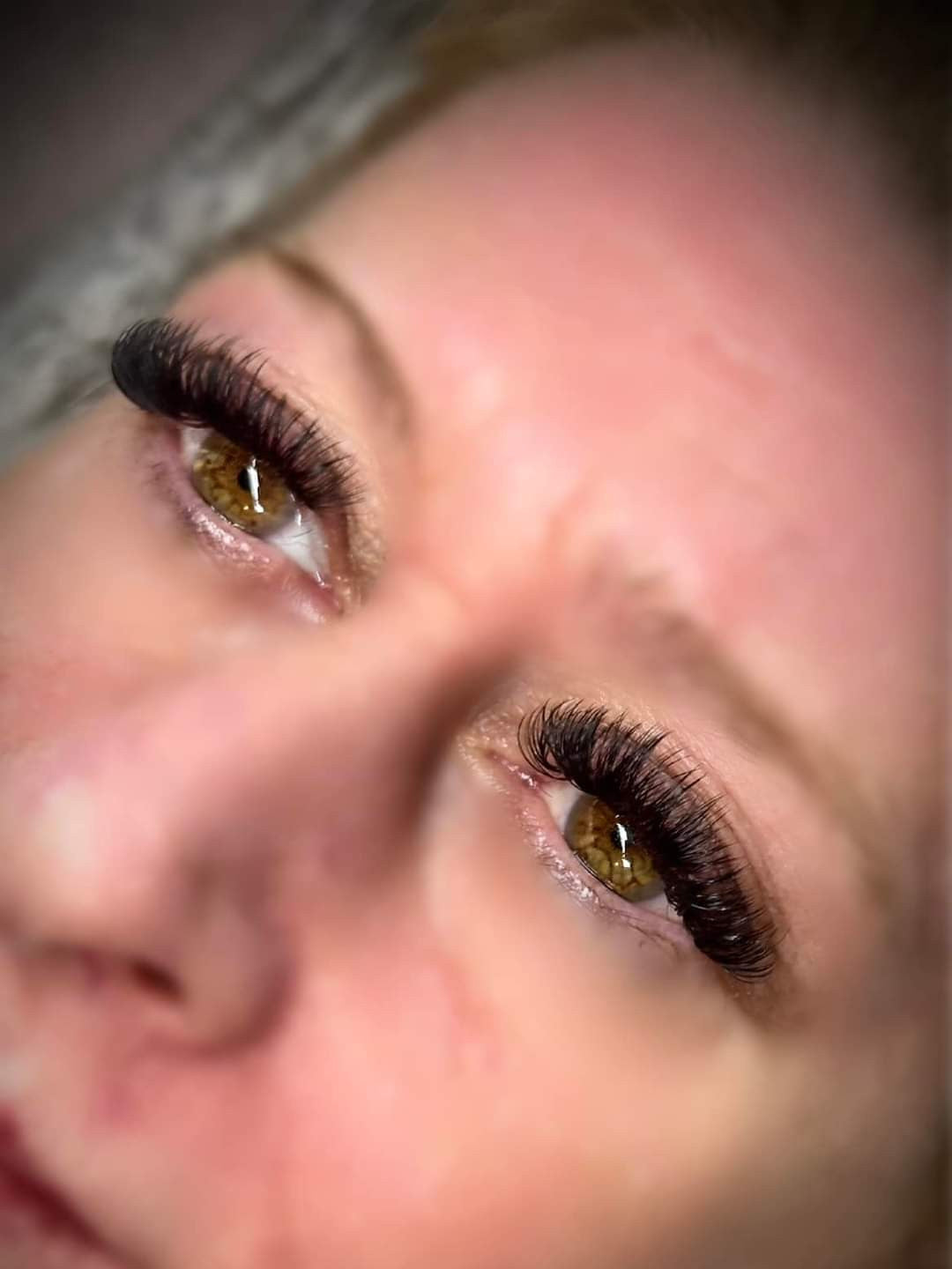 ladybuglashes lashglue lashtrays lashadhesive glueretention cloverlashes wlashes yylashes premades promades lashes