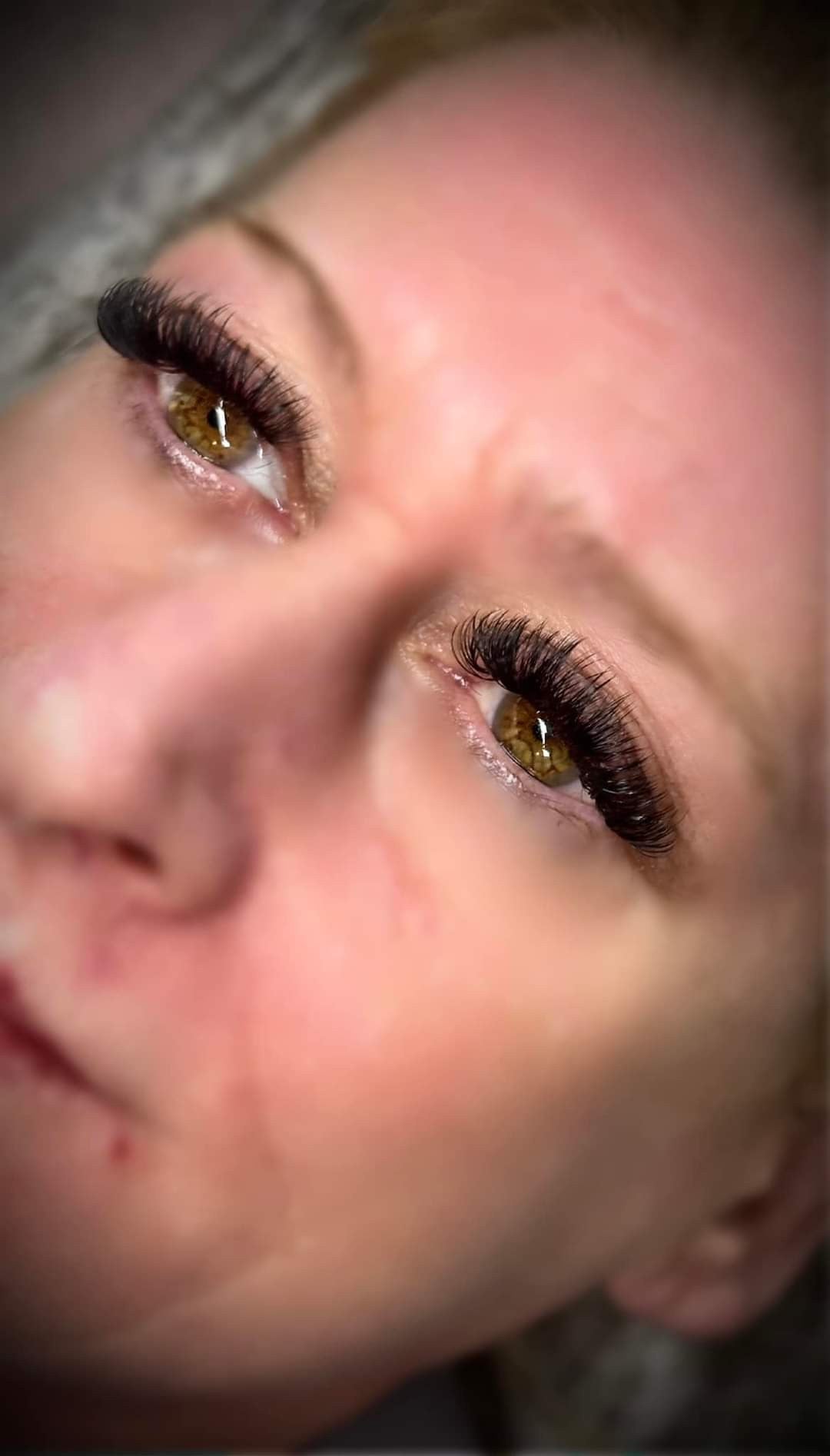 ladybuglashes lashglue lashtrays lashadhesive glueretention cloverlashes wlashes yylashes premades promades lashes