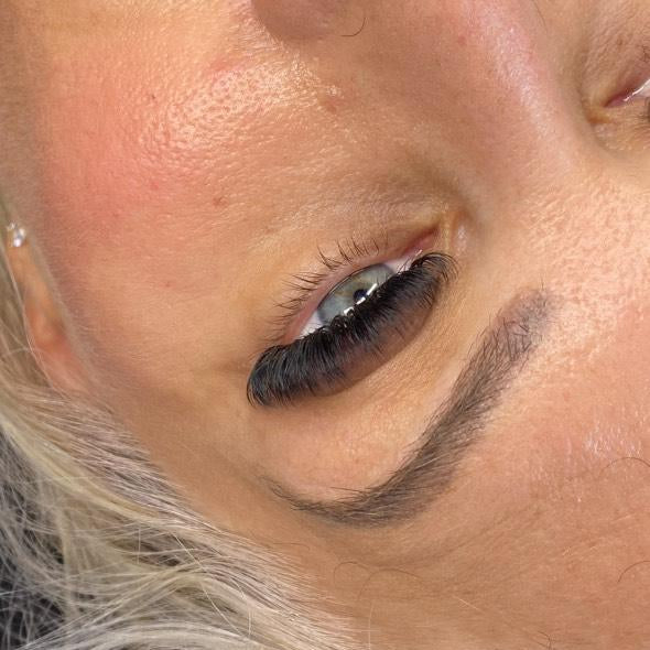 ladybuglashes lashglue lashtrays lashadhesive glueretention cloverlashes wlashes yylashes premades promades lashes