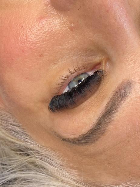 ladybuglashes lashglue lashtrays lashadhesive glueretention cloverlashes wlashes yylashes premades promades lashes