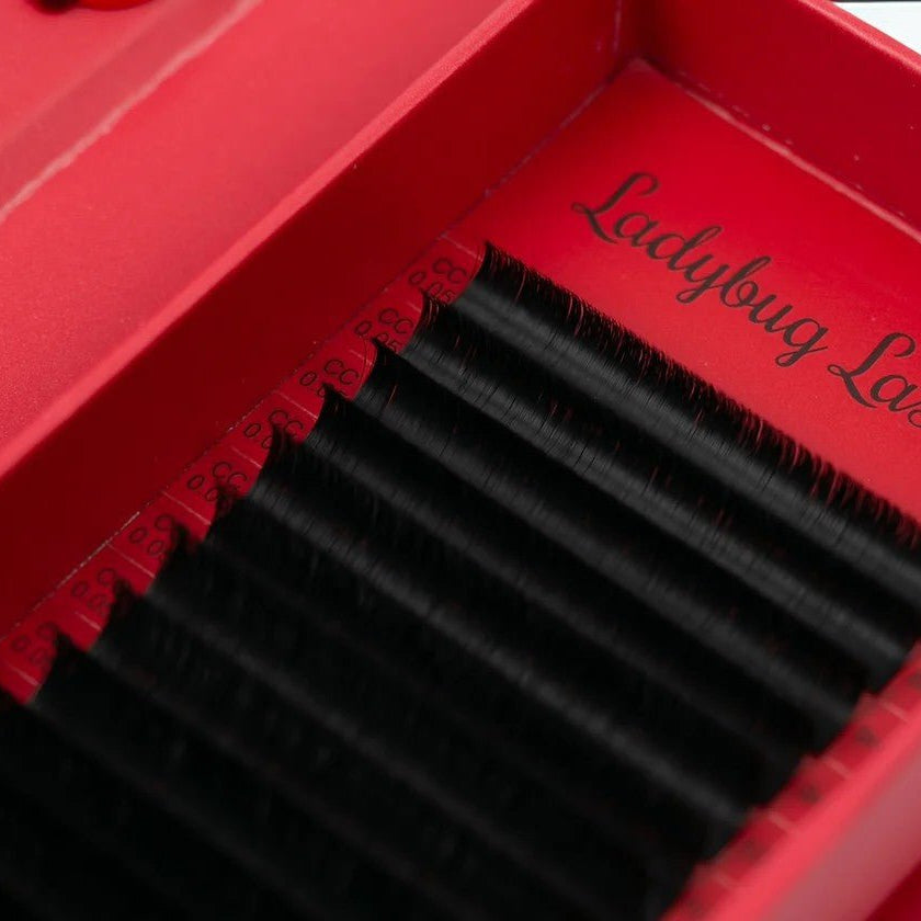 ladybuglashes lashglue lashtrays lashadhesive glueretention cloverlashes wlashes yylashes premades promades lashes