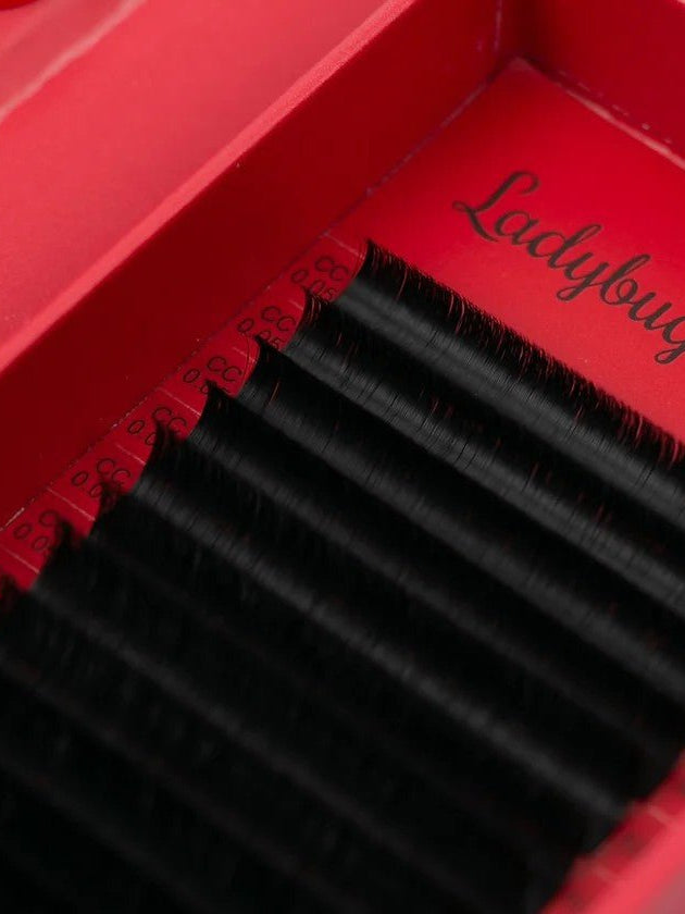 ladybuglashes lashglue lashtrays lashadhesive glueretention cloverlashes wlashes yylashes premades promades lashes