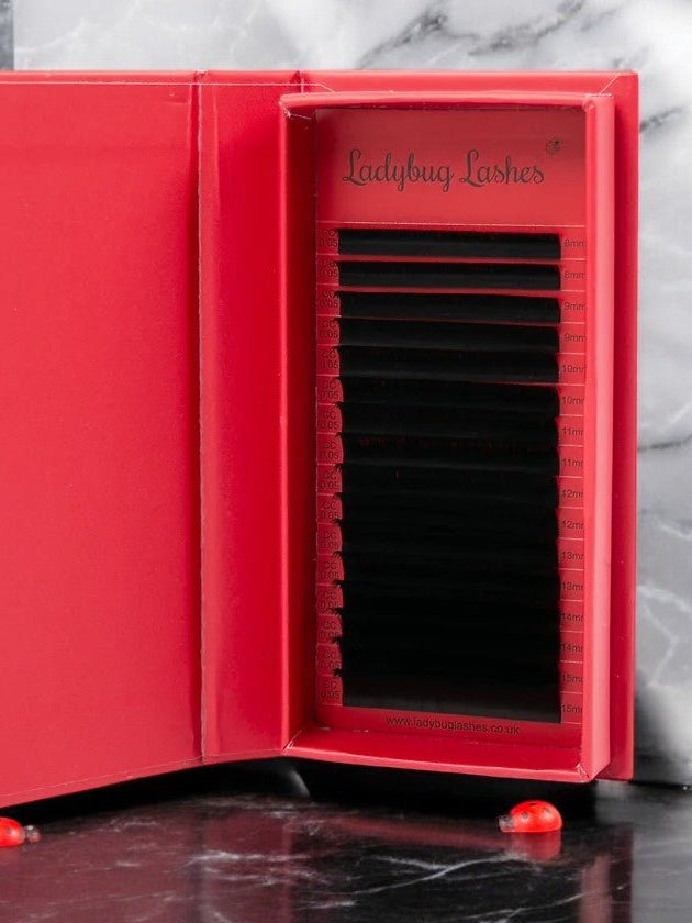 ladybuglashes lashglue lashtrays lashadhesive glueretention cloverlashes wlashes yylashes premades promades lashes