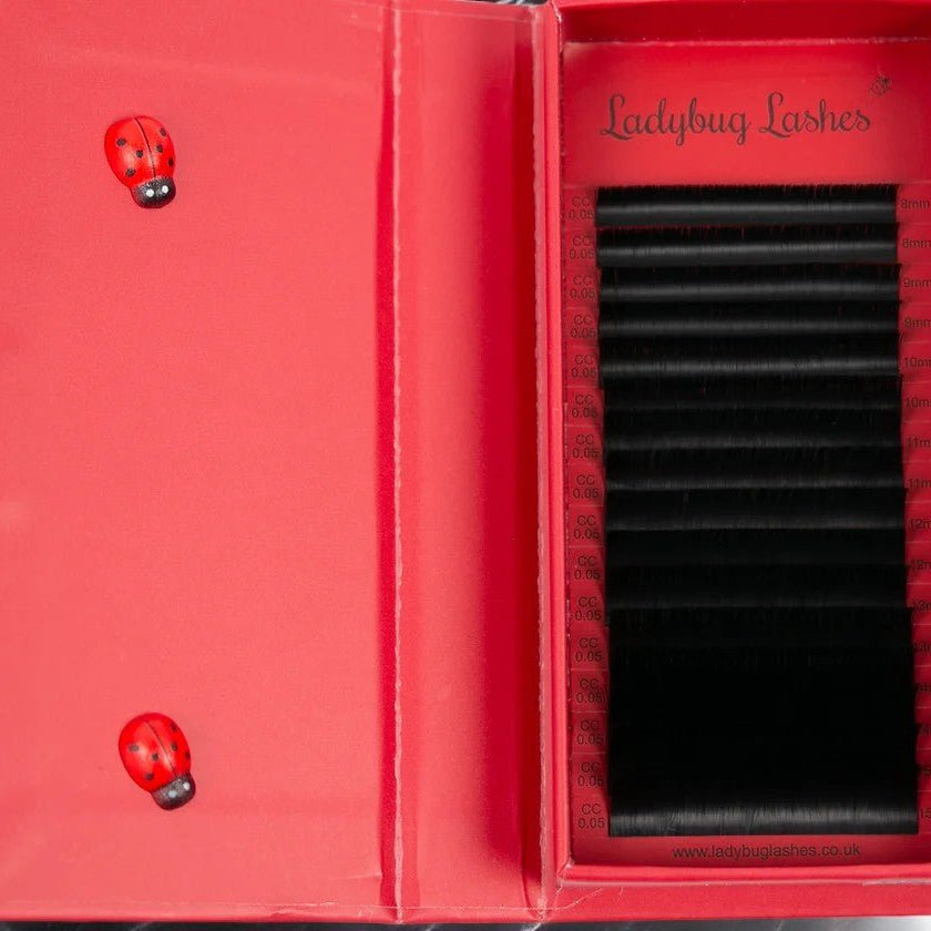 ladybuglashes lashglue lashtrays lashadhesive glueretention cloverlashes wlashes yylashes premades promades lashes