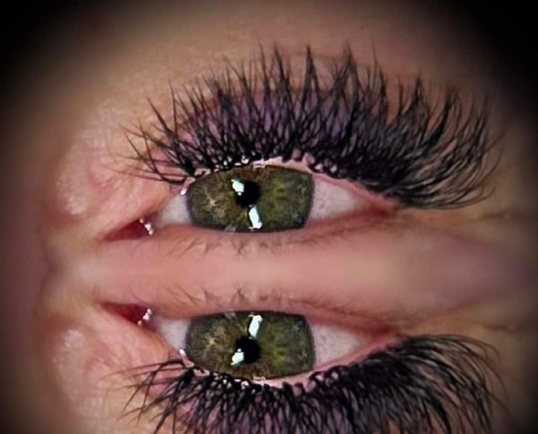 Ladybug Lashes W Lash Sample Tray