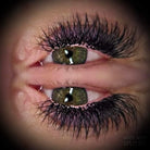 Ladybug Lashes W Lash Sample Tray