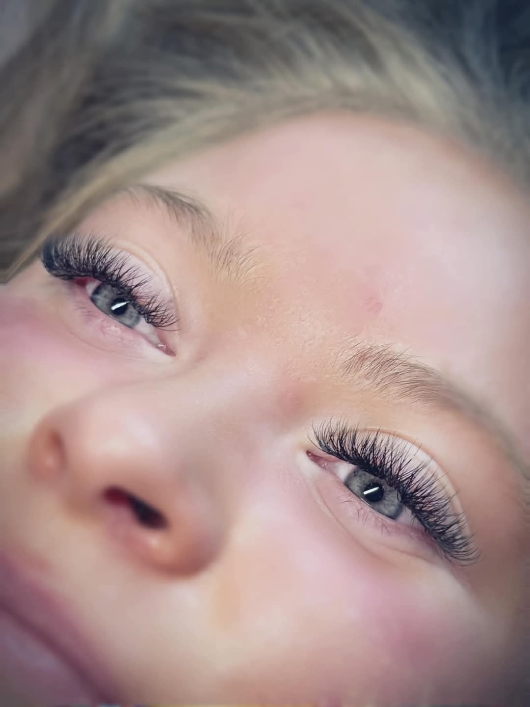 Ladybug Lashes W Lashes Mixed Tray 16 Rows