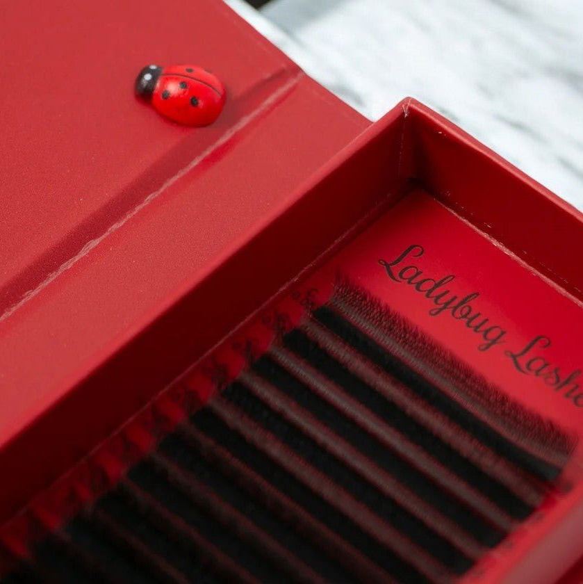 ladybuglashes lashglue lashtrays lashadhesive glueretention cloverlashes wlashes yylashes premades promades lashes