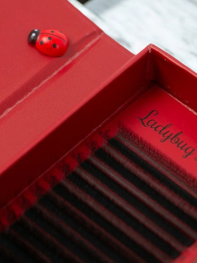 ladybuglashes lashglue lashtrays lashadhesive glueretention cloverlashes wlashes yylashes premades promades lashes