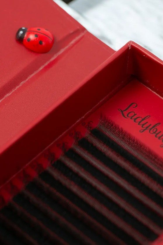 ladybuglashes lashglue lashtrays lashadhesive glueretention cloverlashes wlashes yylashes premades promades lashes